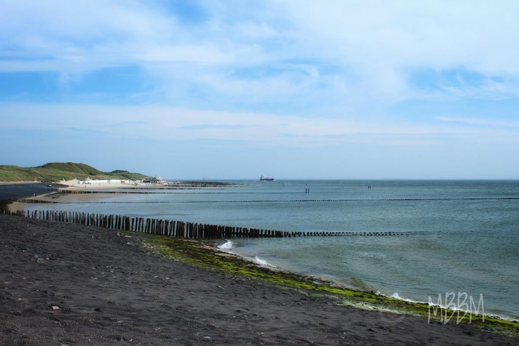 IMG_2225 (Copy)