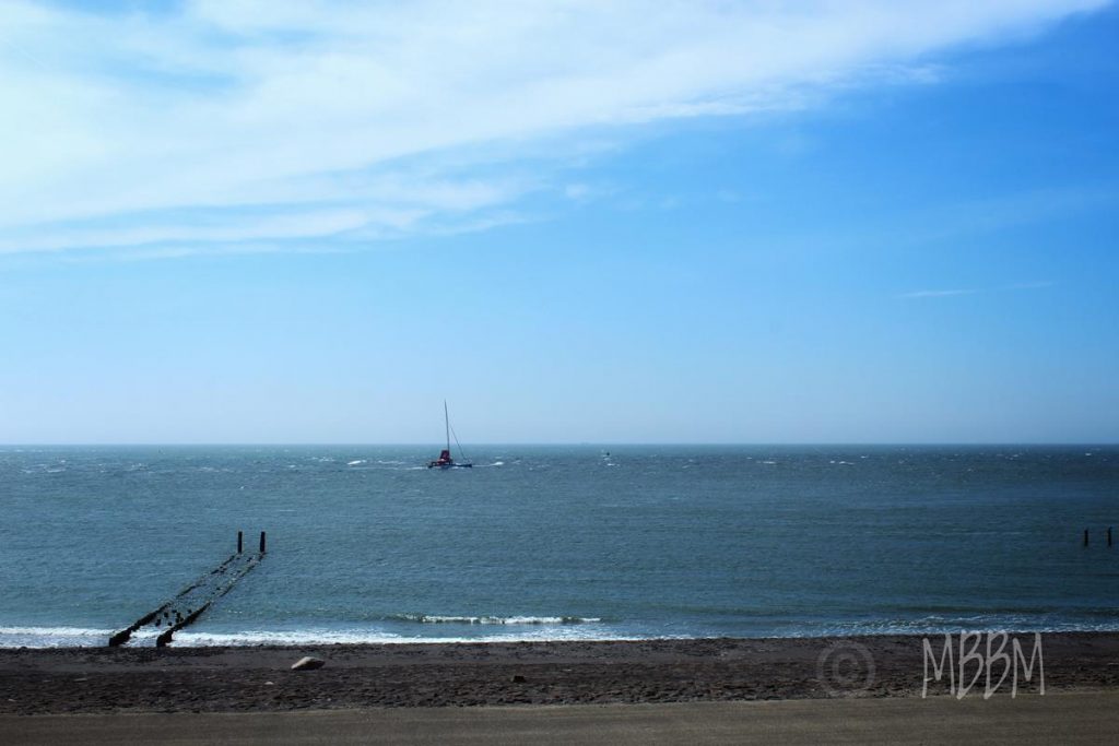 IMG_2226 (Copy)