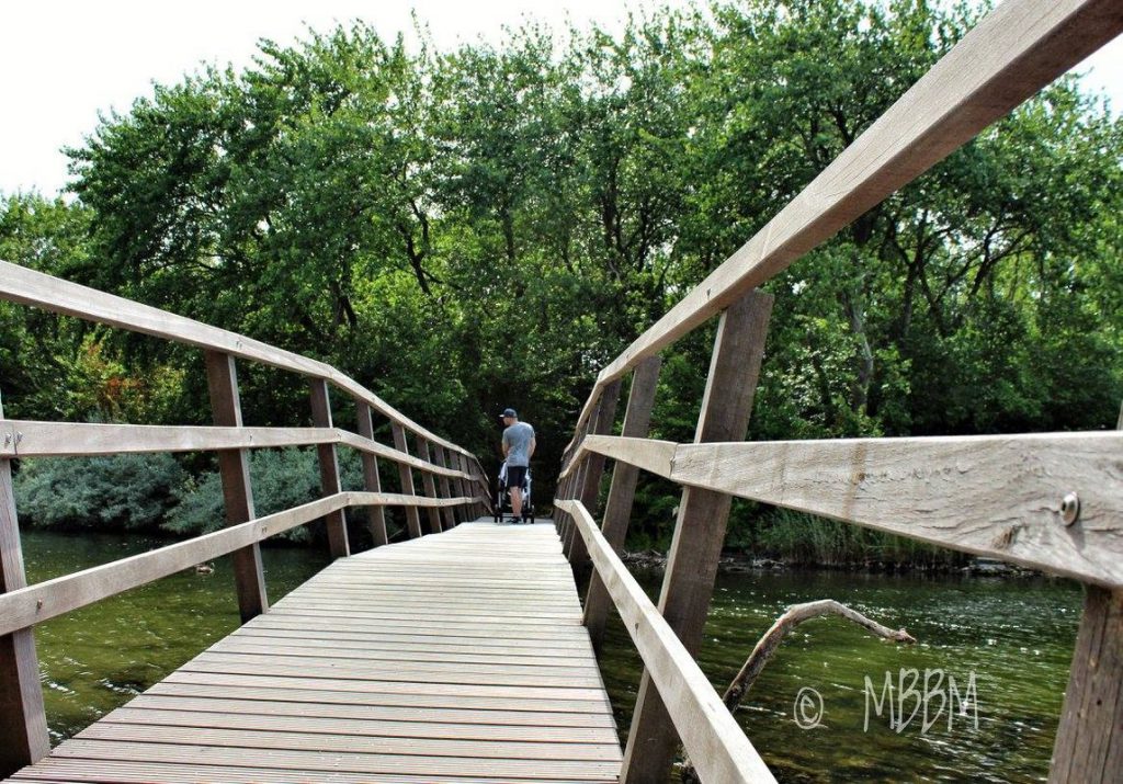 19956717_1109308595879395_4355840191905703915_o